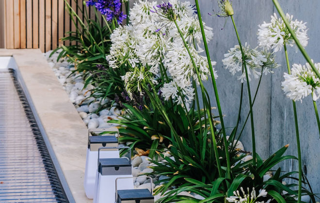 rokai paysagiste amenagement jardin vegetal