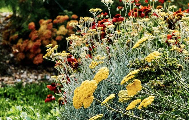 rokai paysagiste amenagement jardin vegetal