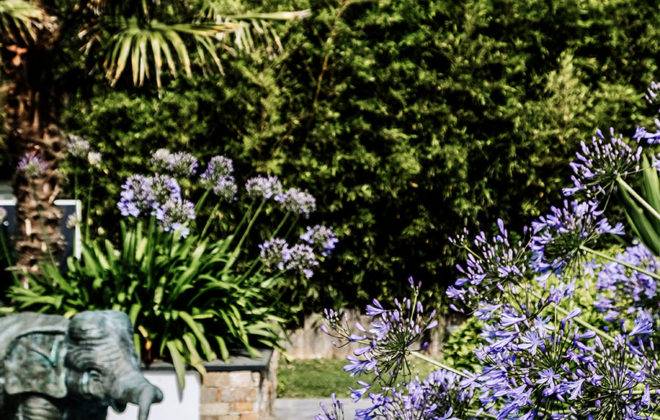 rokai paysagiste amenagement jardin vegetal
