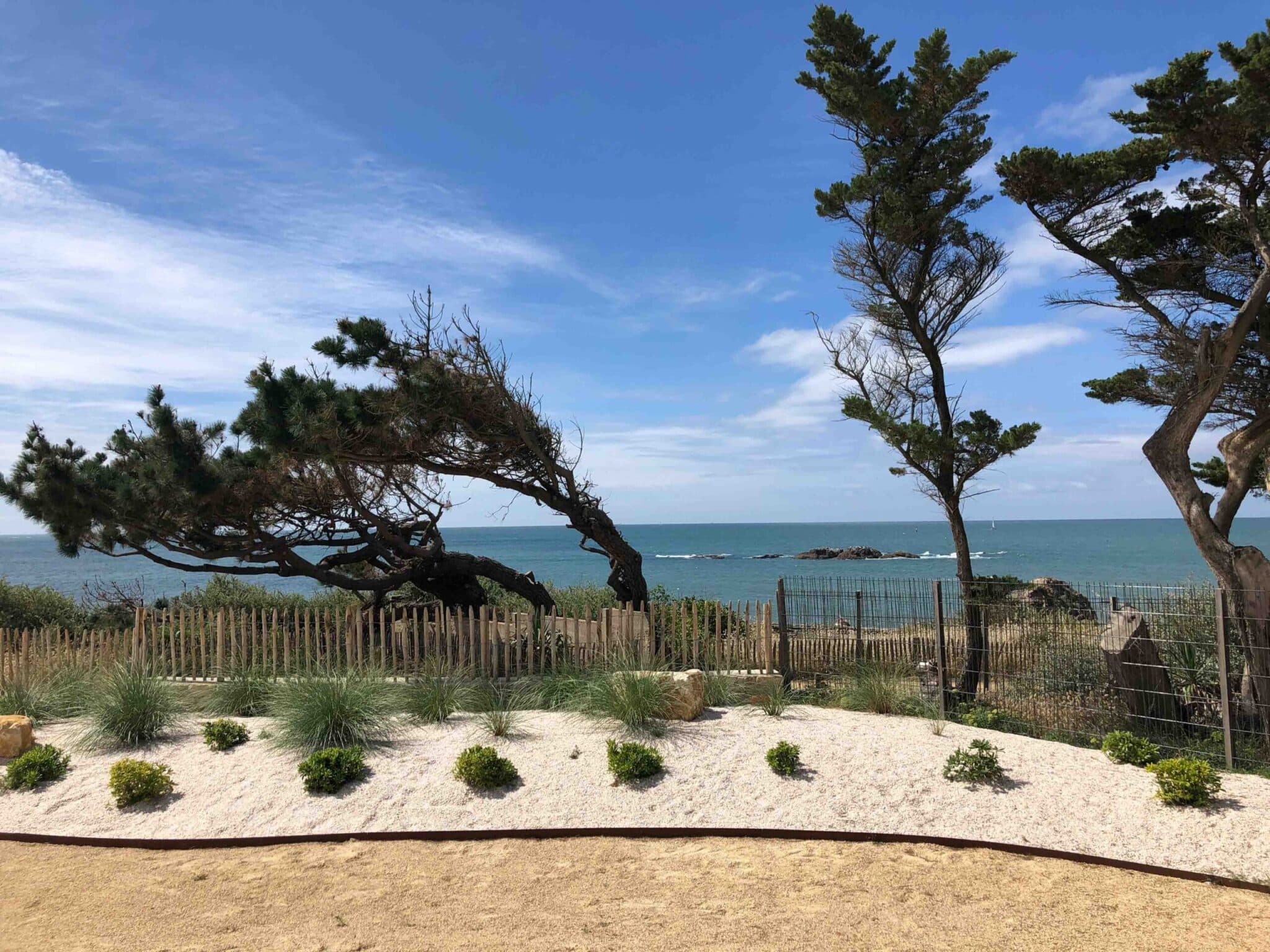 Terrasse de restaurant avec ganivelles en bois flotté, parasols et séparation vitrée par Rokaï Paysagiste