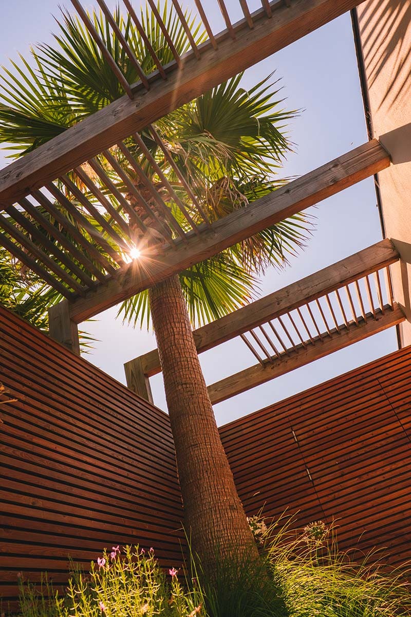 Palmier exotique, pergola en bois et terrasse par Rokaï Paysagiste pour aménagements extérieurs professionnels et privés