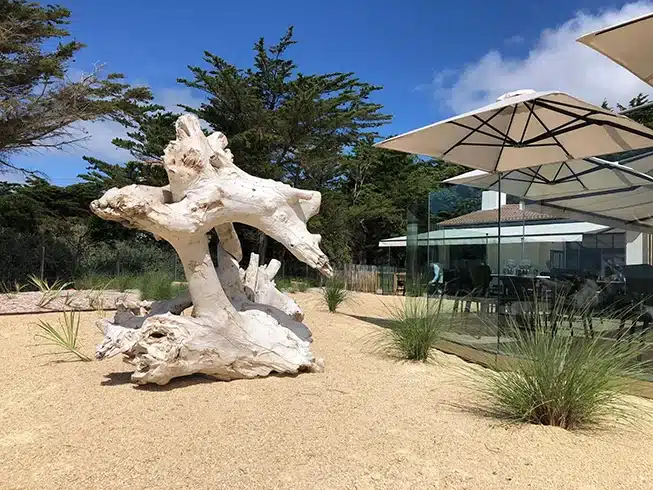 Création de terrasses et aménagements extérieurs pour les restaurants en Vendée - Rokaï Paysagiste Aménagement paysager de terrasse de restaurant de bord de mer avec bois flotté et séparations vitrées à Saint-Hilaire-de-Riez par Rokaï